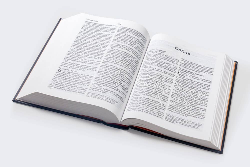 Bible Large Print Hardcover Gift Edition Reina Valera 1960