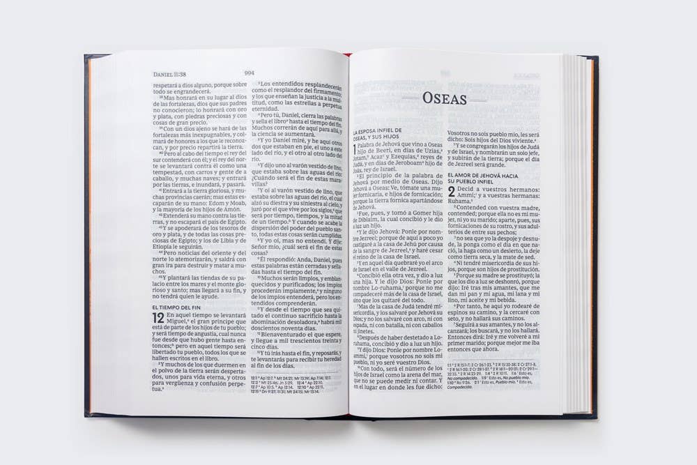 Bible Large Print Hardcover Gift Edition Reina Valera 1960