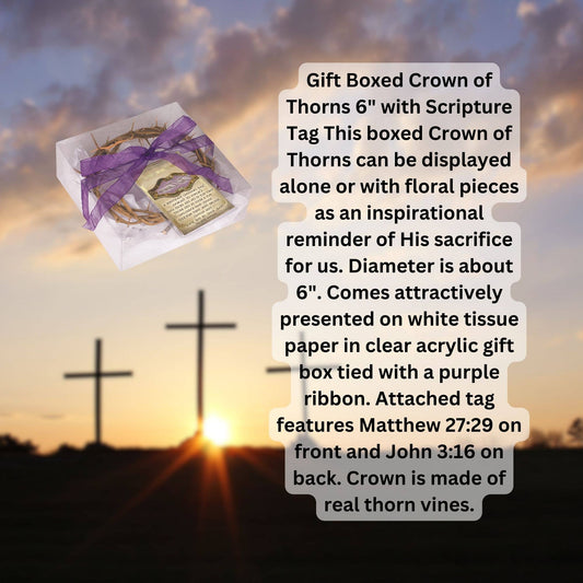 Crown Of Thorns 6-Inch Faith-Based Gift Boxed With Scripture Tag