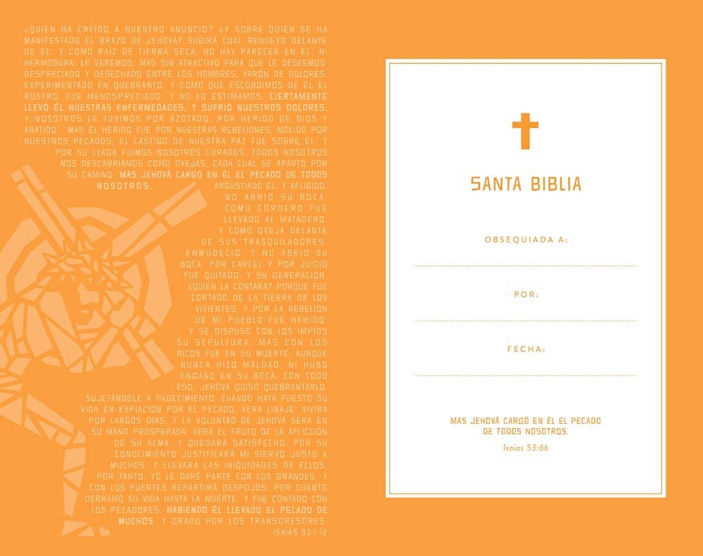 Bible Large Print Hardcover Gift Edition Reina Valera 1960