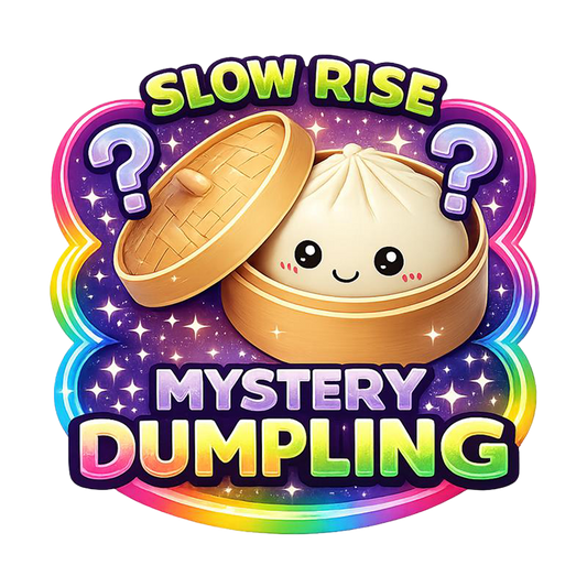 Dumpling Mystery Squishy | Slow Rise Foam